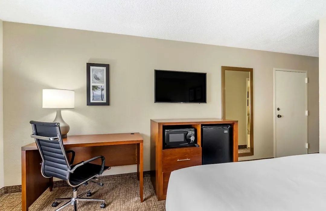 Comfort Inn & Suites St Pete - Clearwater International Airport-1