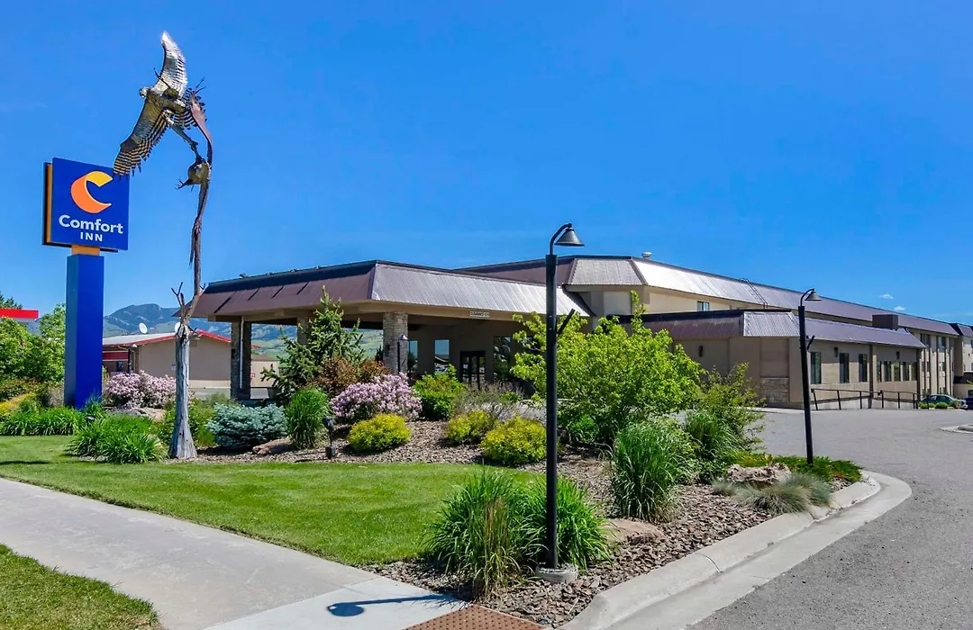 Comfort Inn Bozeman Near University-1