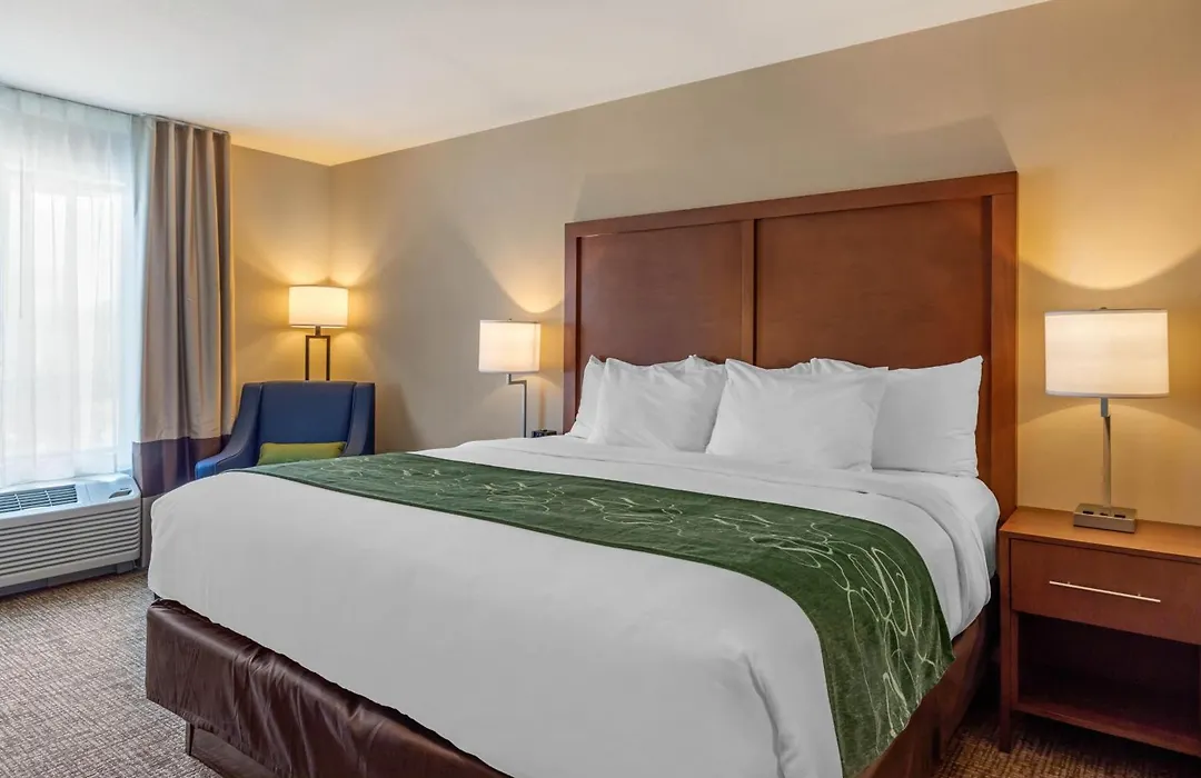 Comfort Inn & Suites Schenectady - Scotia-1