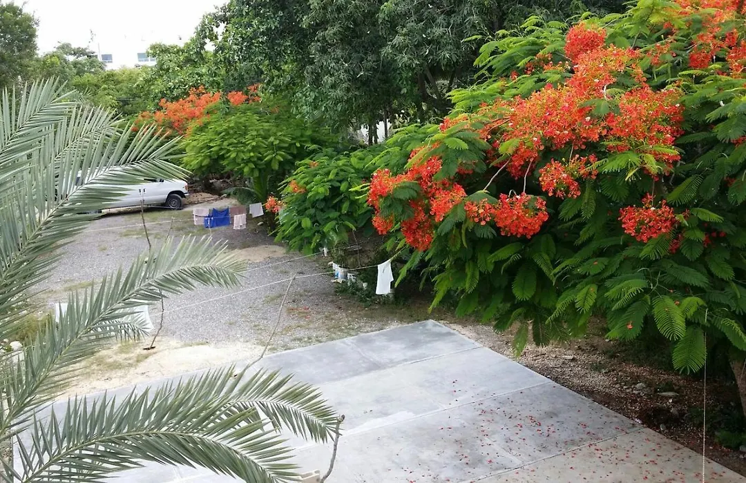 Mansion Giahn Bed & Breakfast-1