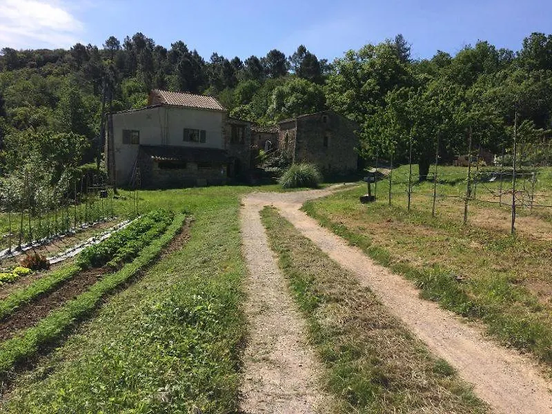 Deux chambres d hôtes attenantes avec salon salle à manger privatif en Cévennes Gardoises-1