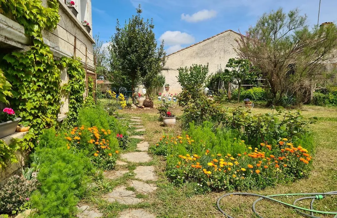 Villa Pierre-1