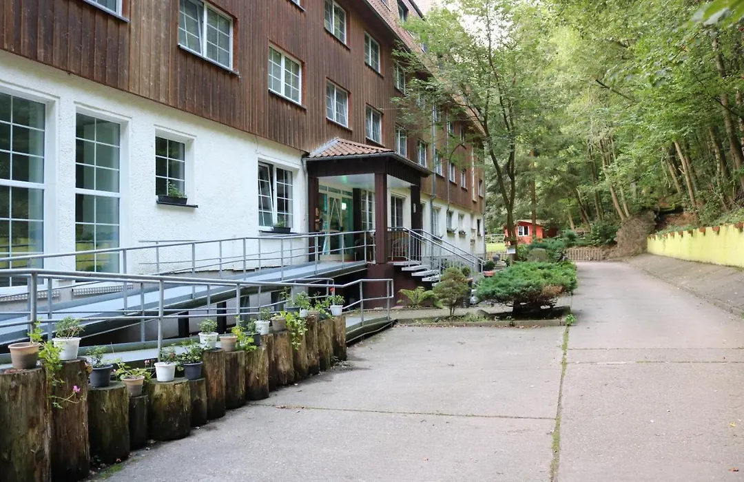 Waldhotel Harz Ilsenburg-1