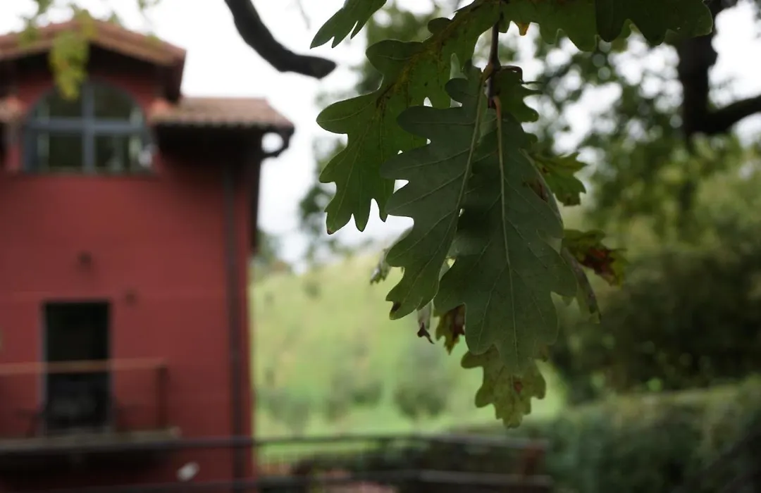 Hotel Rural Sagarlore-1
