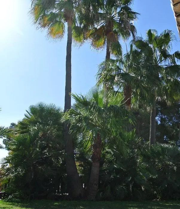 Casa Olivia-1