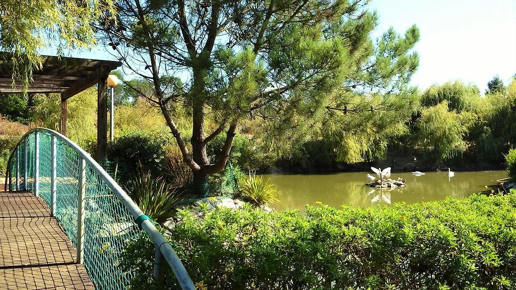 Jardins Da Ria-1
