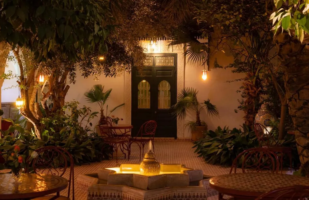 Riad Ifoulki-1