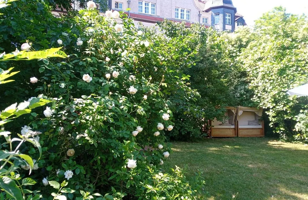 Hotel Hollerbusch-1