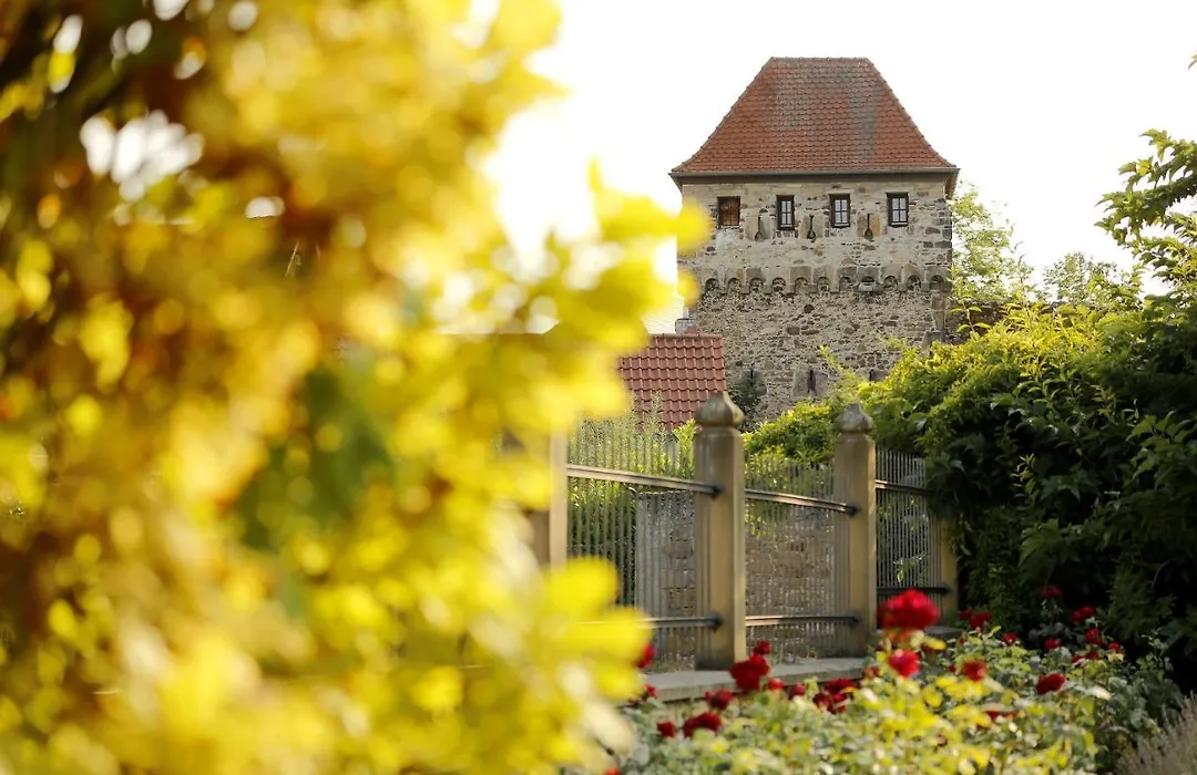 Altstadthof Freinsheim-1