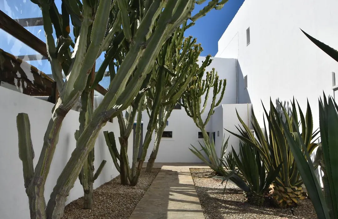 Hostal Doña Lola Marina-1