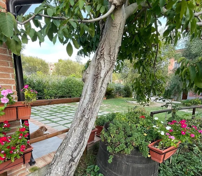 Villa Rosada-1