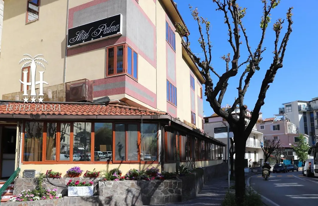 Hotel Palma-1