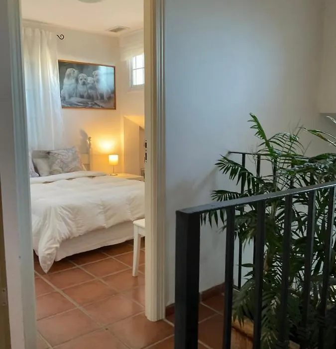 At Home In Malaga Stay - Solo Travellers-1