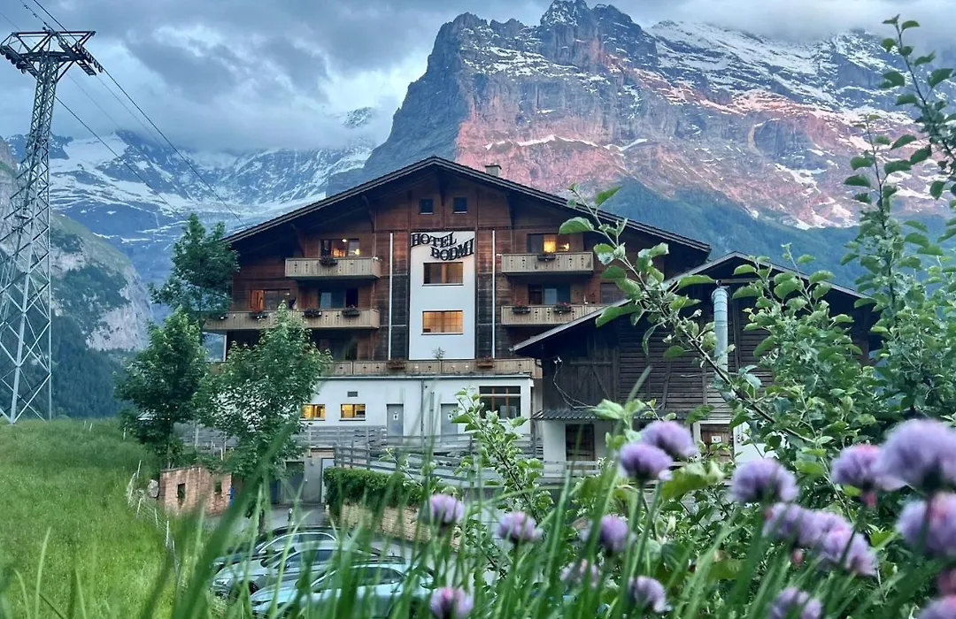 Das BODMI-1