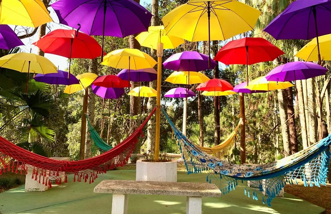 Pousada Serra Das Araucarias Petfriendly - Caofe Da Manha Pet-1