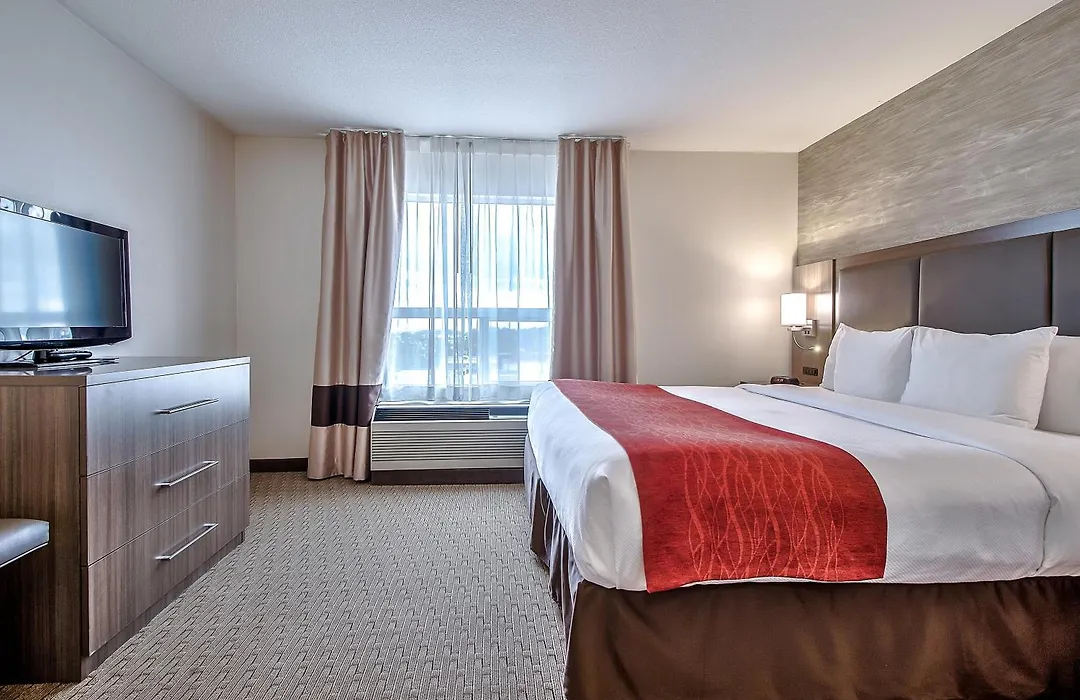 Comfort Inn & Suites South-1