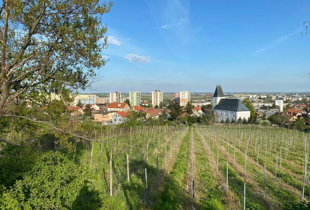 Hotel Baronka-1