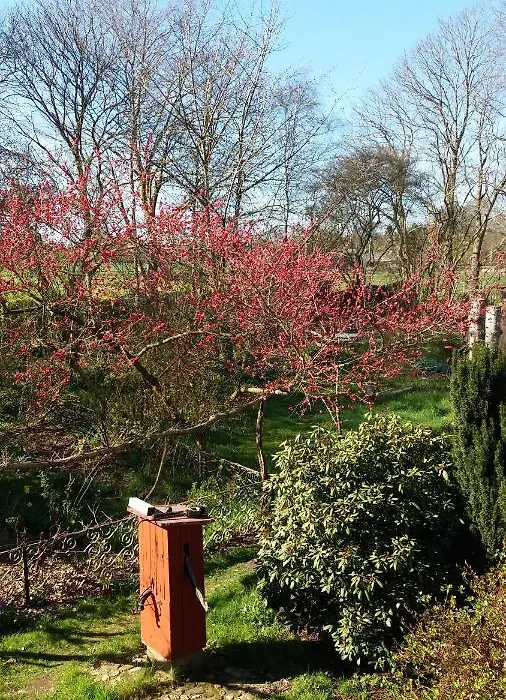 De Geheime Tuin - Uitzicht-1