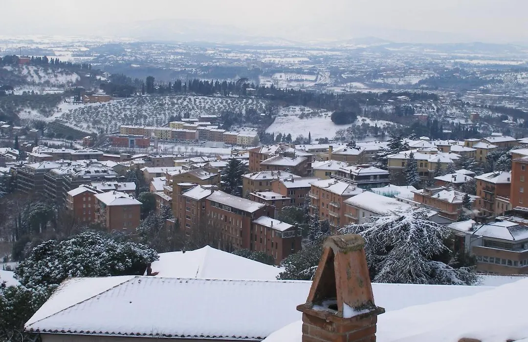 Hotel Signa-1