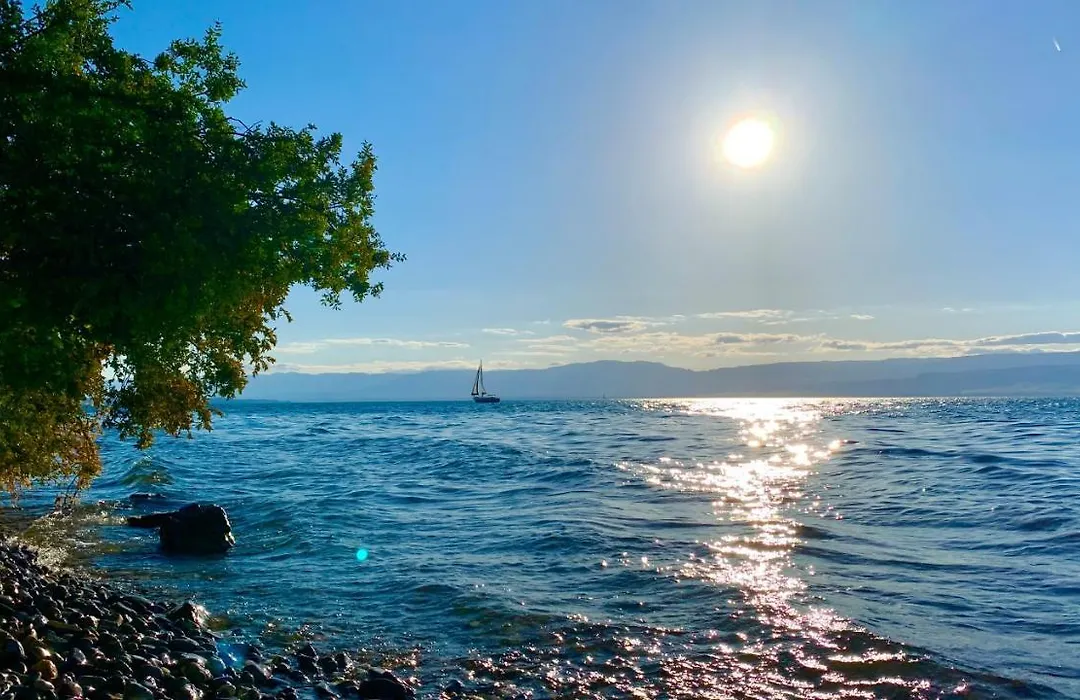 Chez Mat-1
