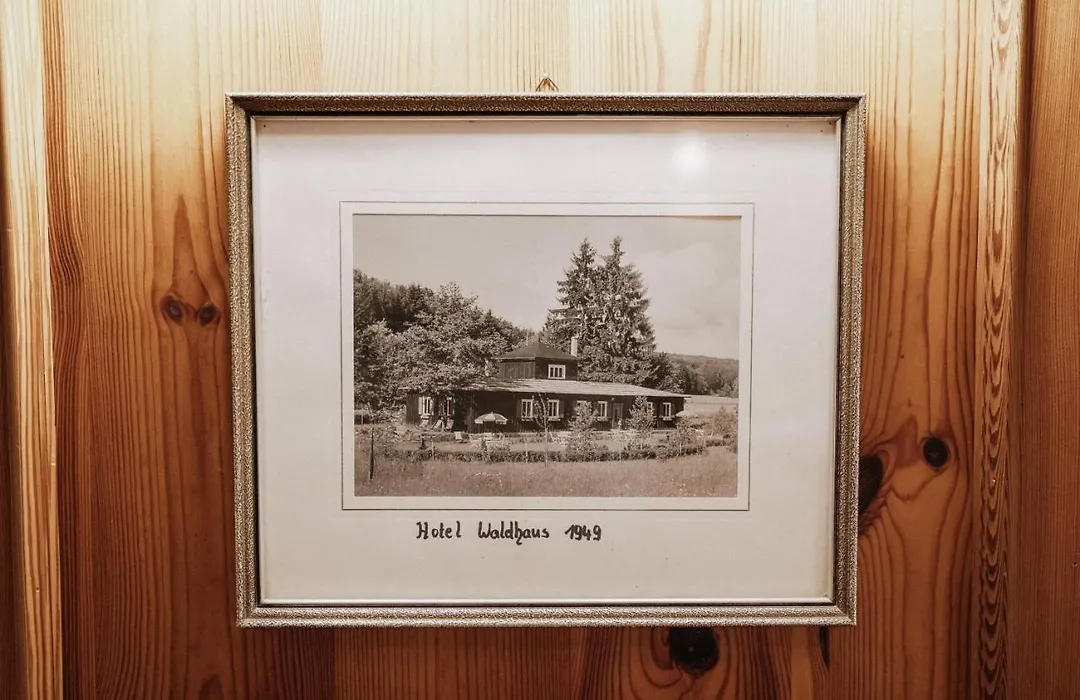 Landhotel Waldhaus-1