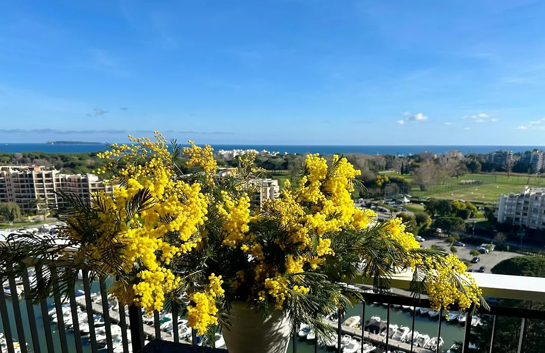 Appart Hotel Mandelieu-1