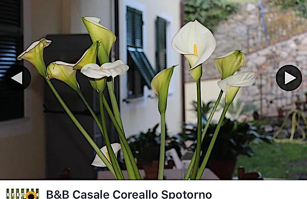 B&B Casale Coreallo Spotorno-1