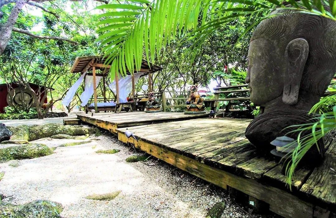 Serene Bird Tiny House Retreat In Japanese Garden-1