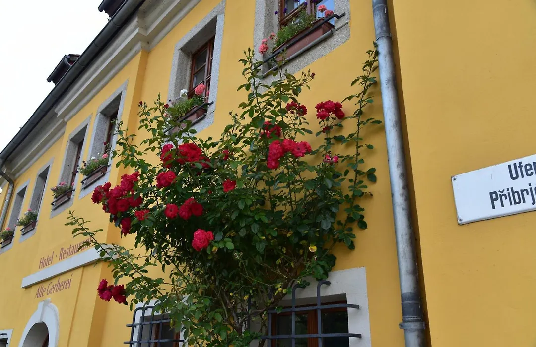 Alte Gerberei-1