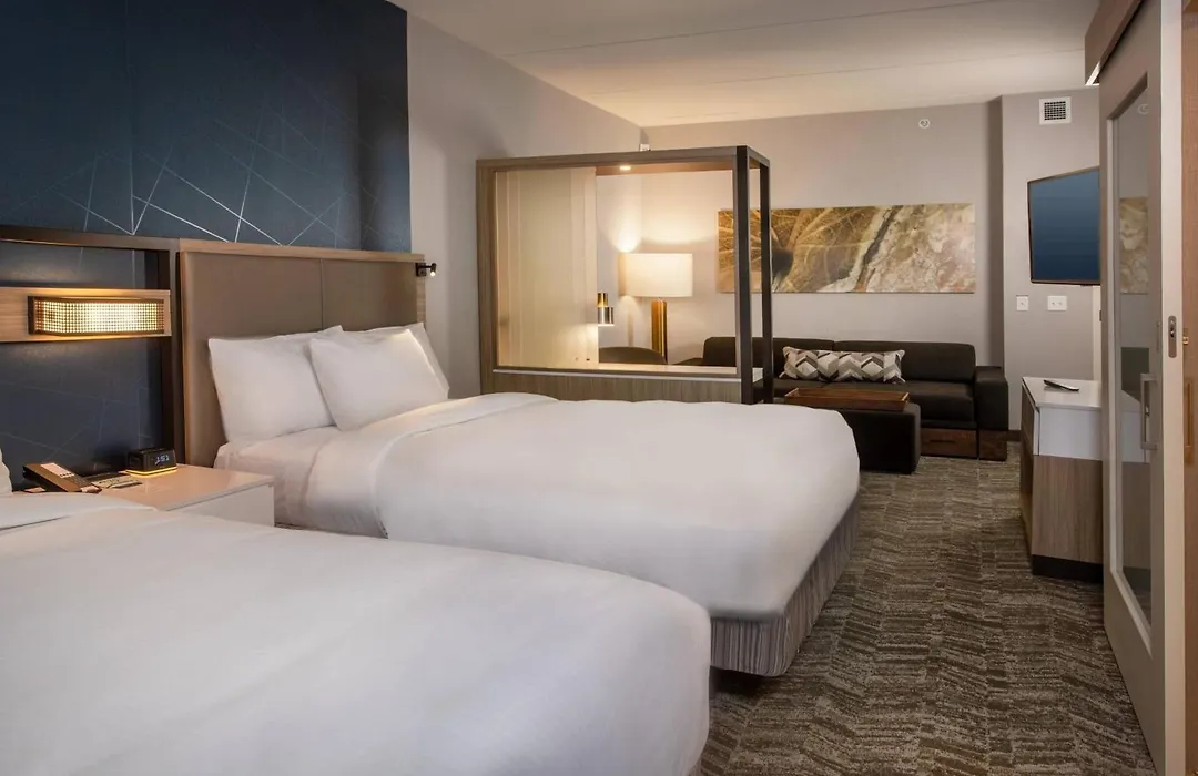 Springhill Suites By Marriott Frederick-1