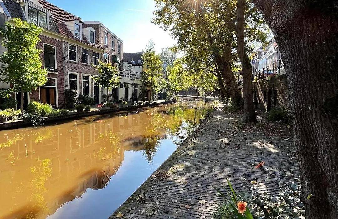 Boutique Hotel Museumkwartier-1