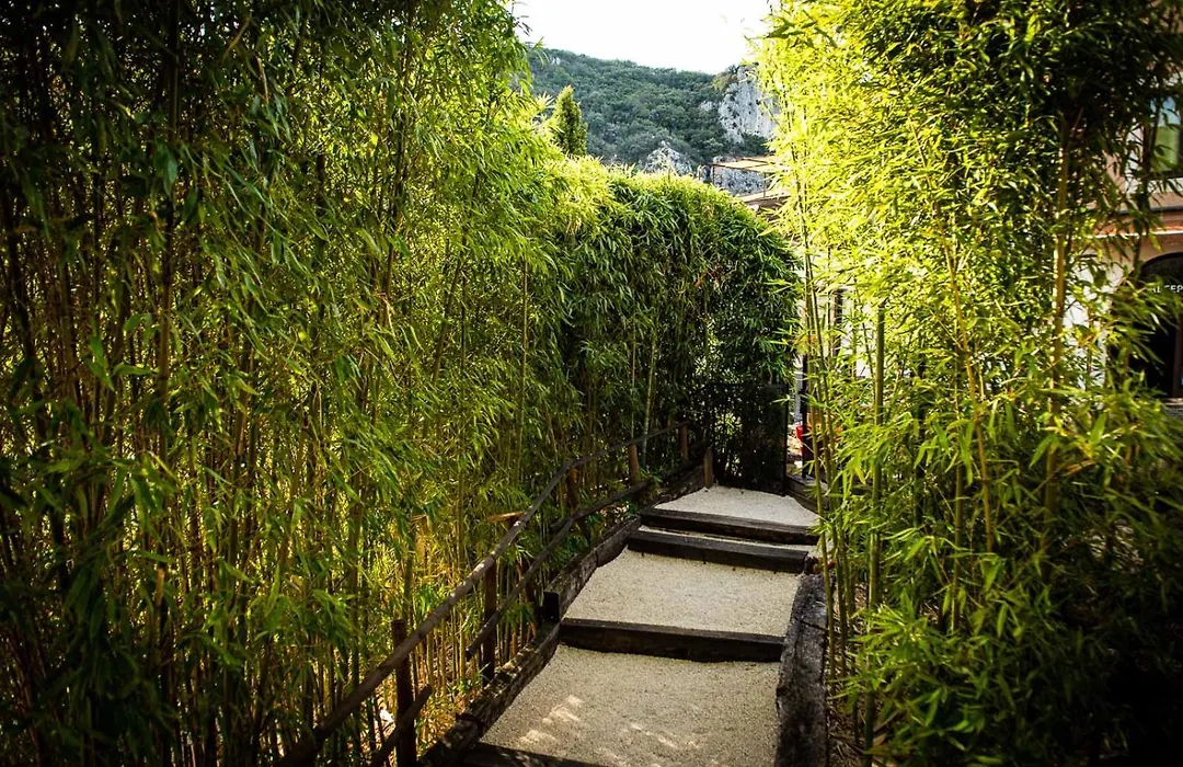 Le Belvedere-1