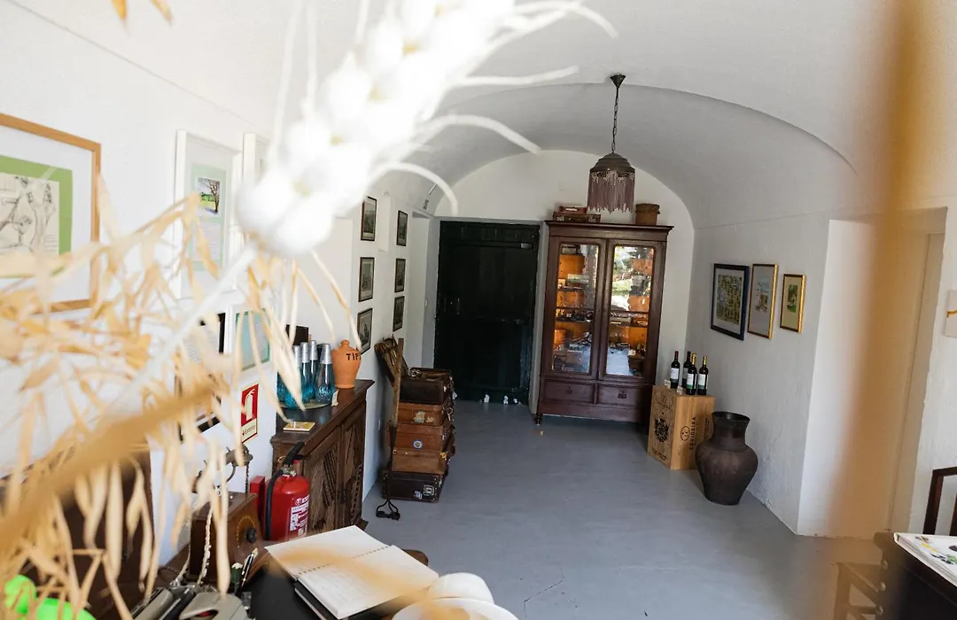 Vintage Guest House - Casa Do Escritor-1