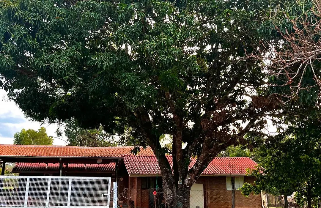 Pousada Coqueiros-1