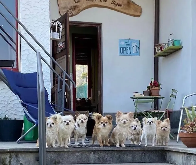 B&B Il Tempo Del Sogno Con Cani E Gatti Pet&Breakfast-1