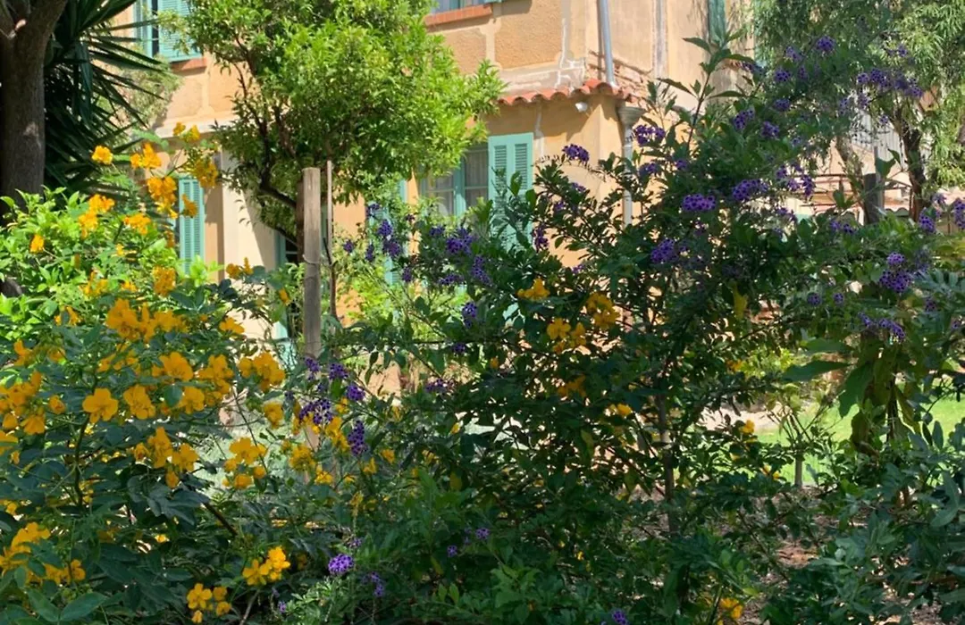 La villa des Amandiers-1