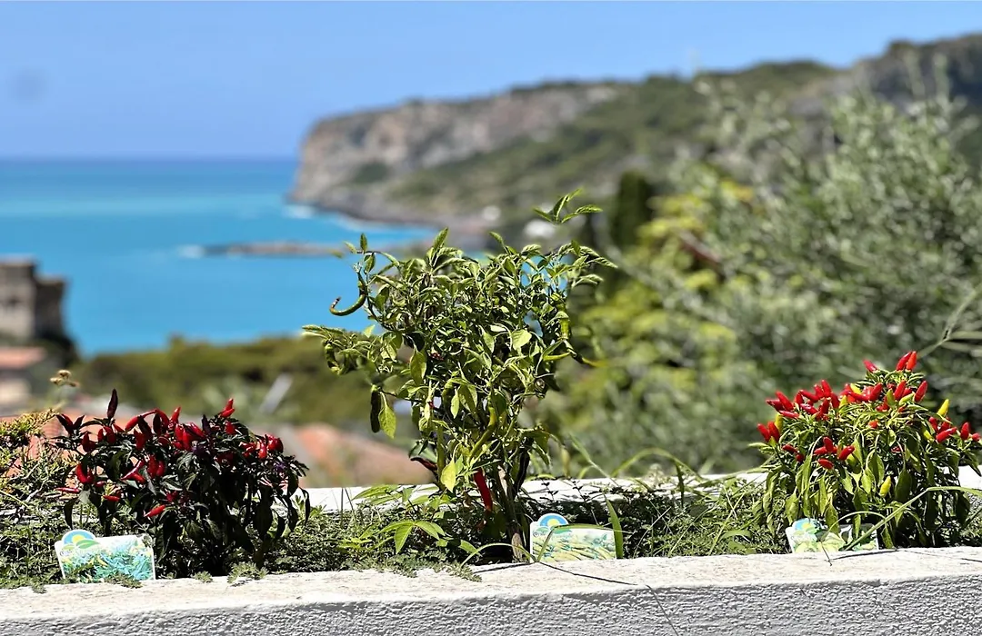 Villa Nappi Bed&Breakfast-1