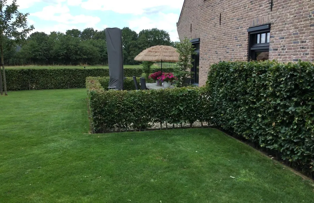 Bed & Breakfast Bennekom-1