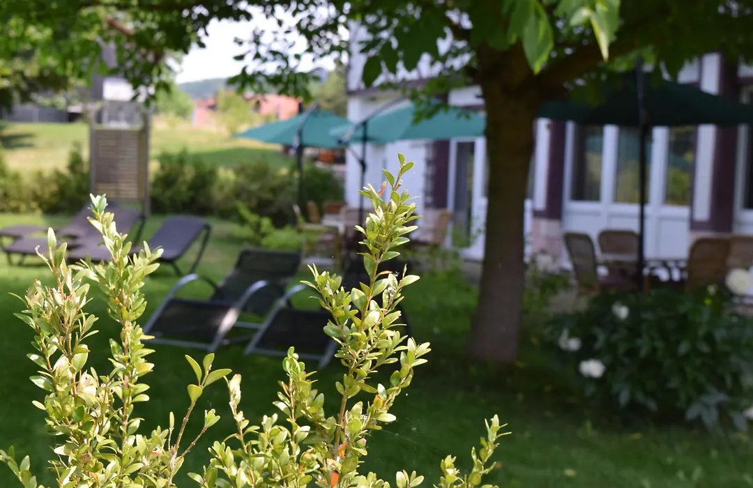 Landhotel Weisses Ross garni-1