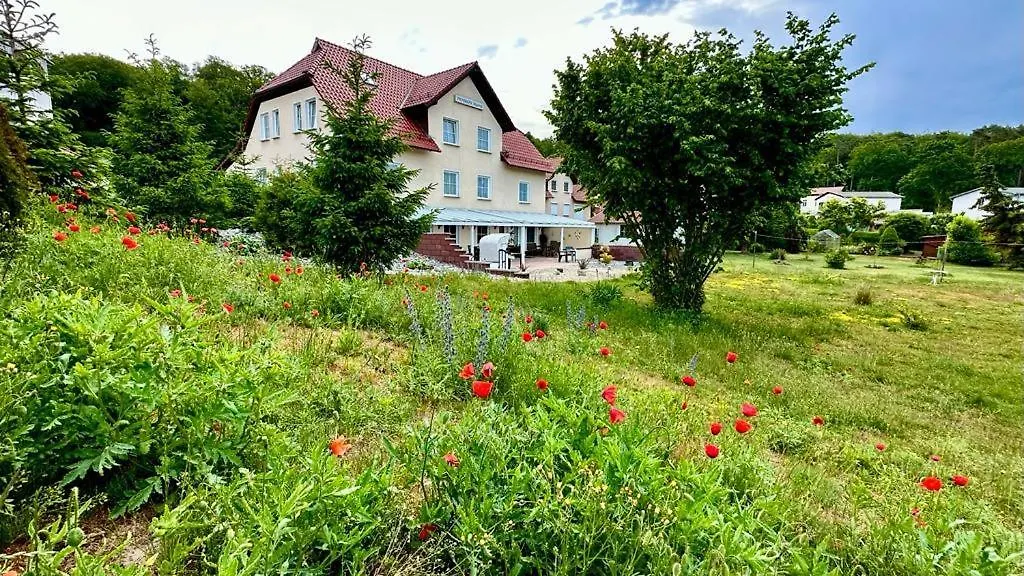 Pension Hanni-1