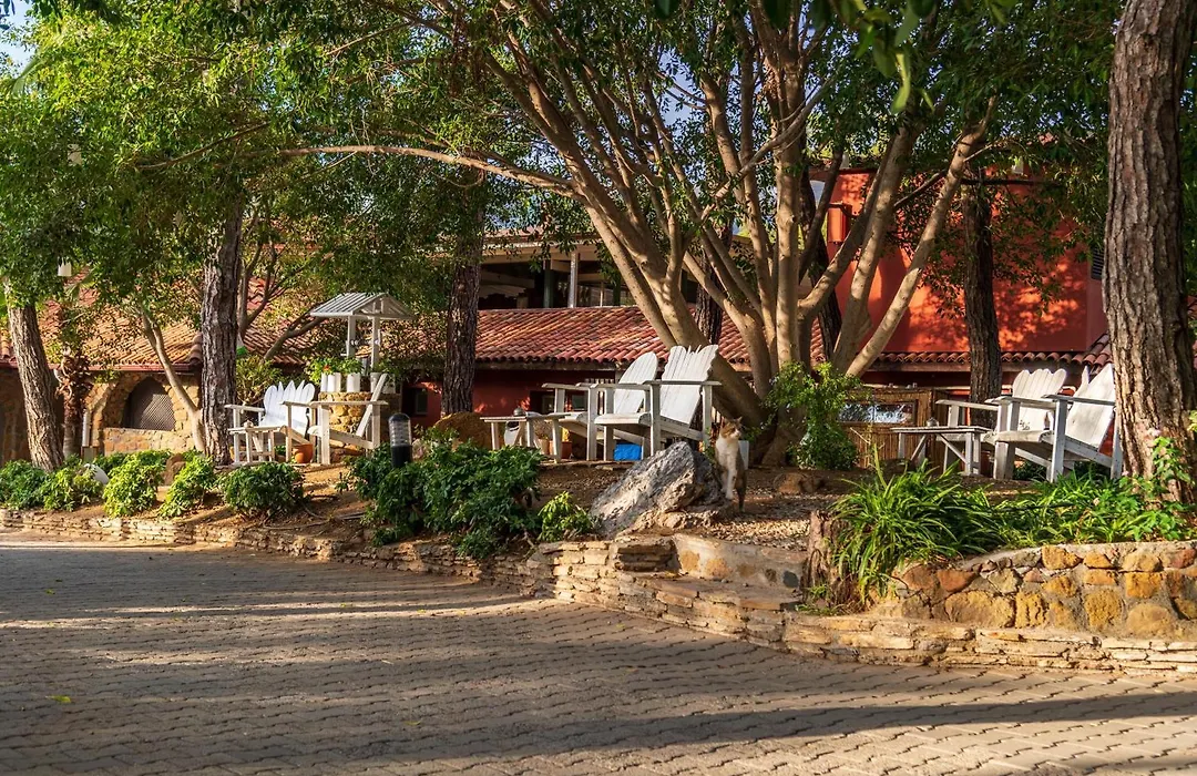 Marmaris Bay Resort - Adults Only-1