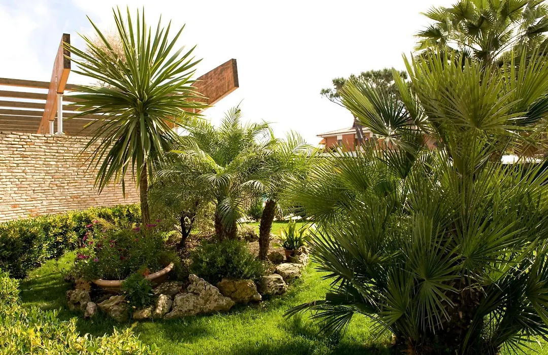 Albergo Mediterraneo-1