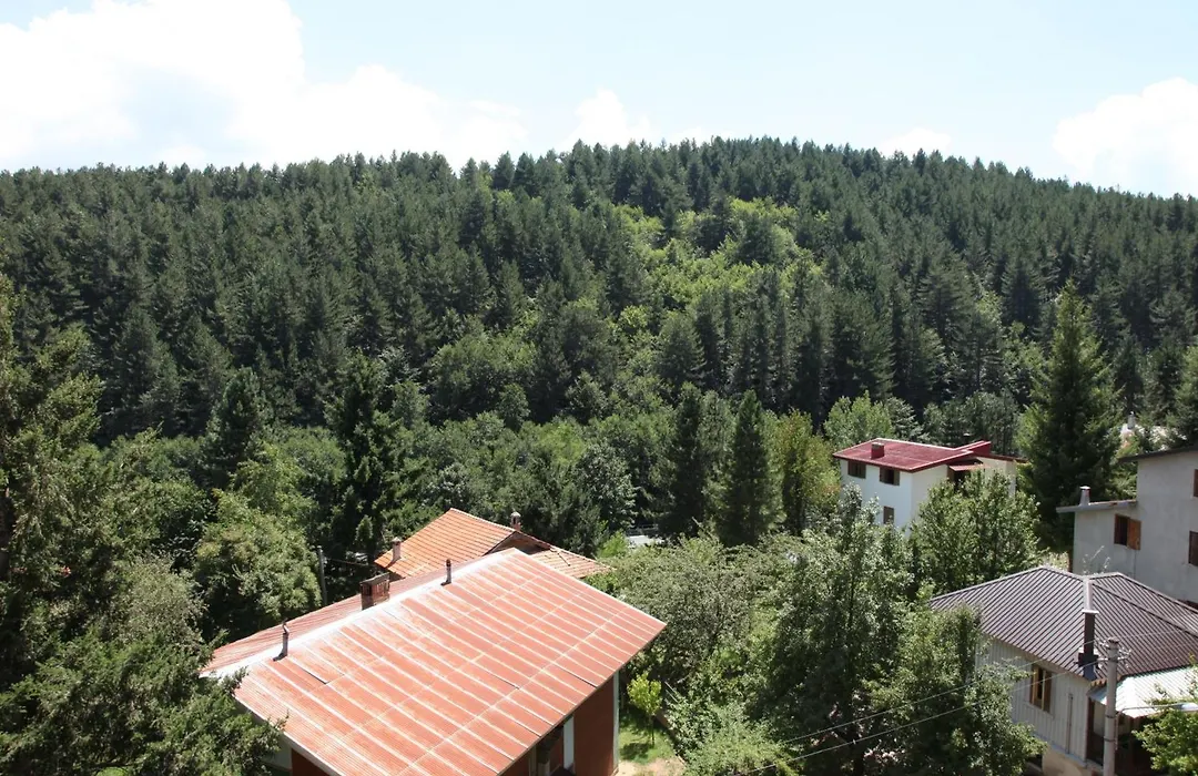 Hotel Tasso-1