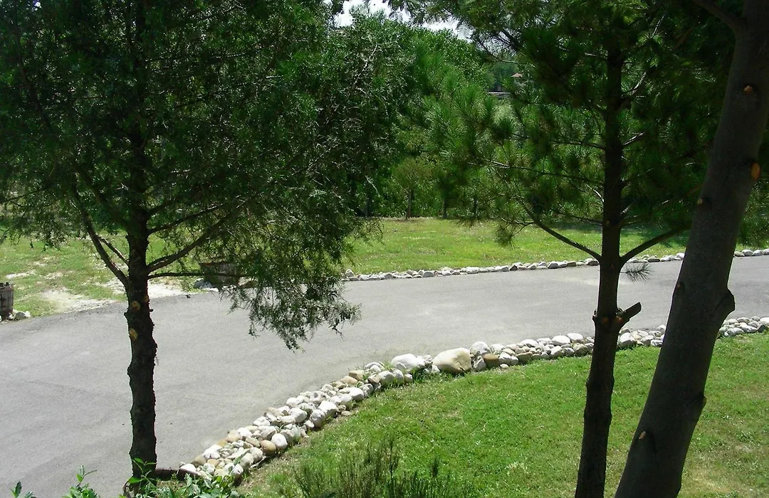 Hotel D.G. Garden-1