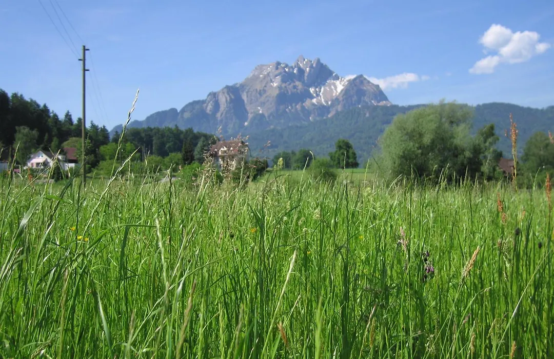 Hotel Felmis-1