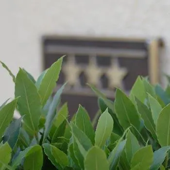 Akzent Hotel Residence Bautzen-1