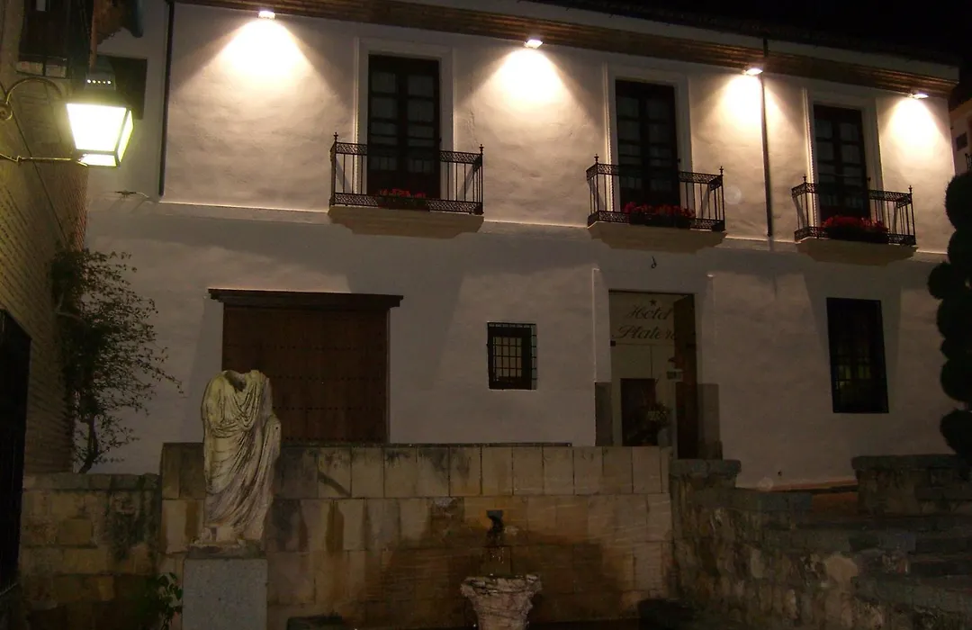 Hotel Plateros-1