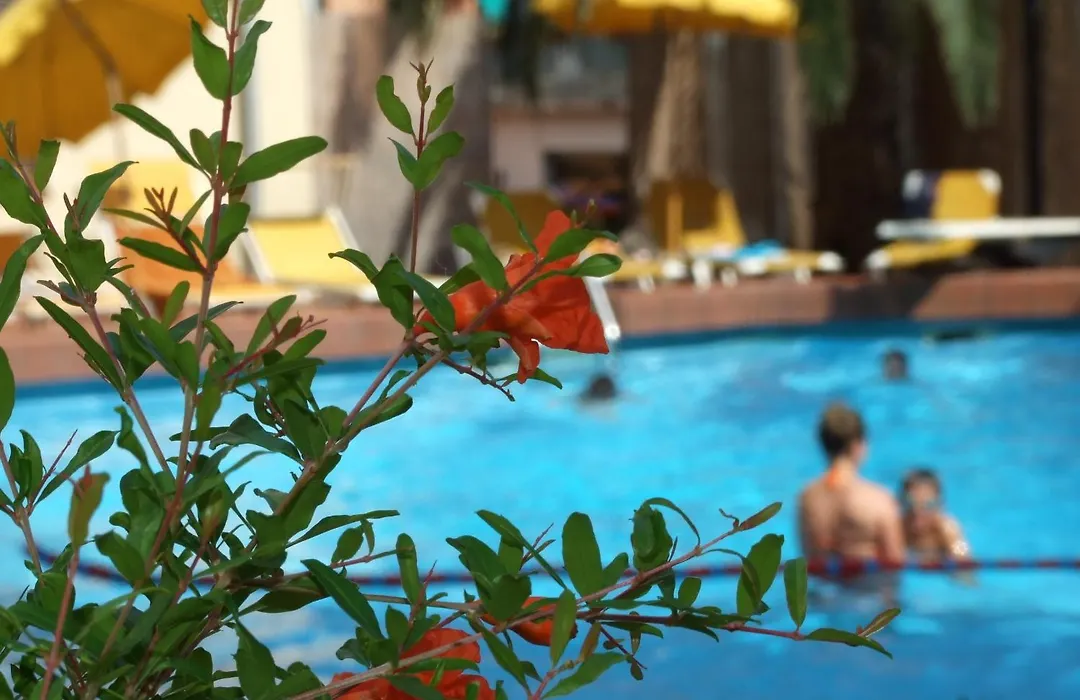Hotel Coccodrillo-1