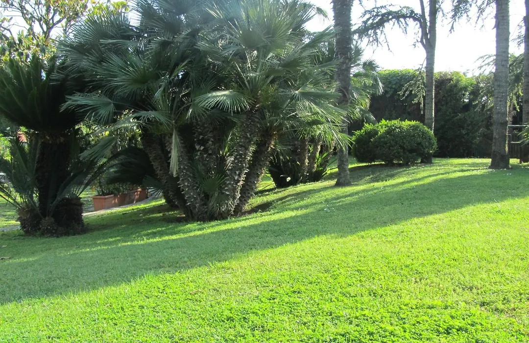 Hotel Giovanna-1