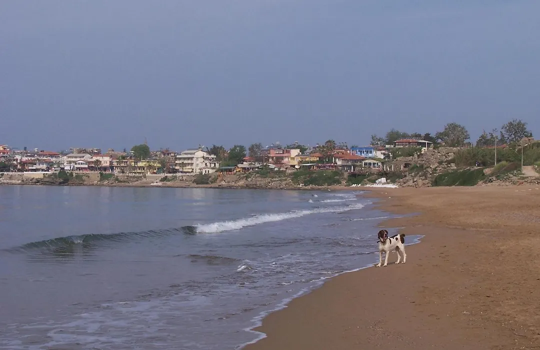 Beach House Hotel-1